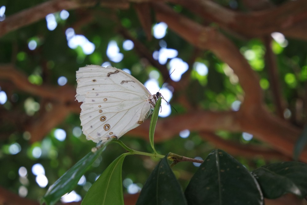 20150419154849_0324_NX3000