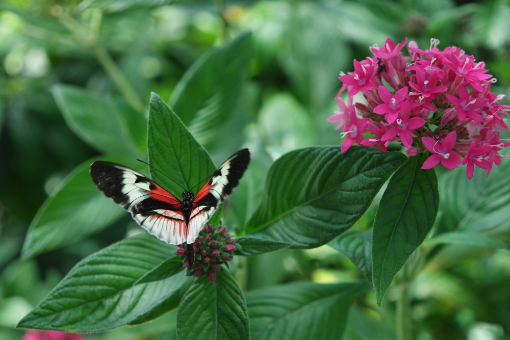 20150419155458_0337_NX3000