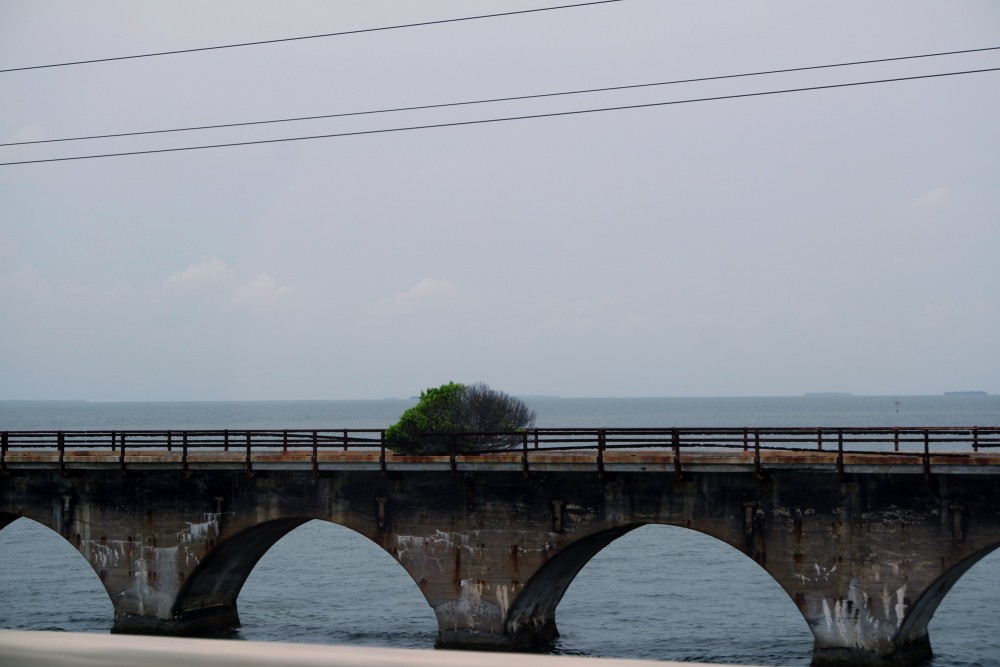 Brücken so alt das Bäume drauf wachsen