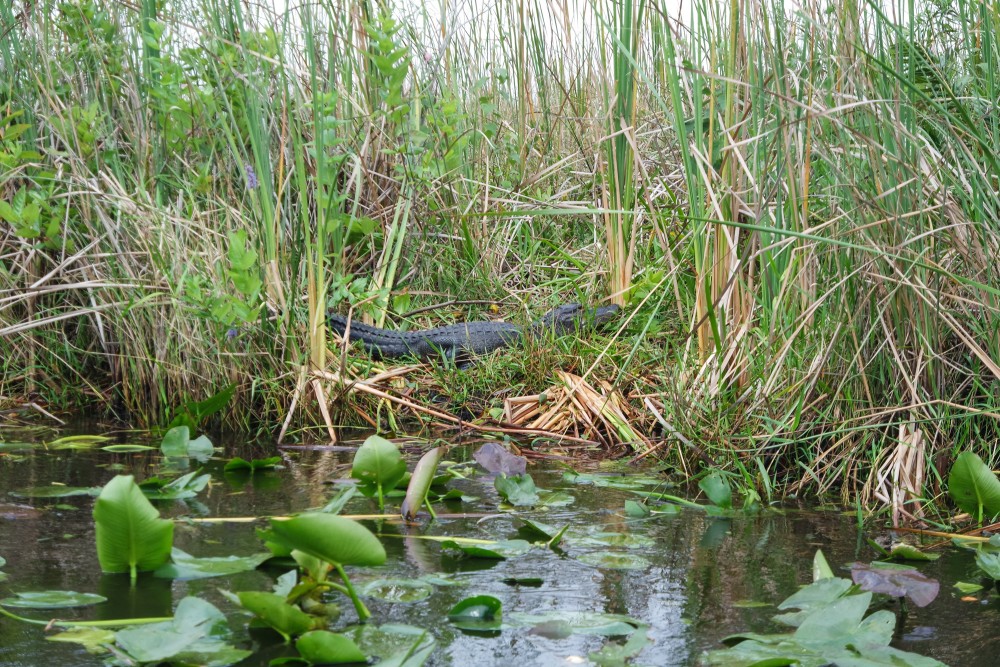 20150430111641_1461_NX3000_20150430111641