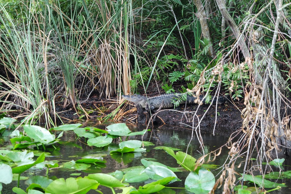 20150430111903_1464_NX3000_20150430111903