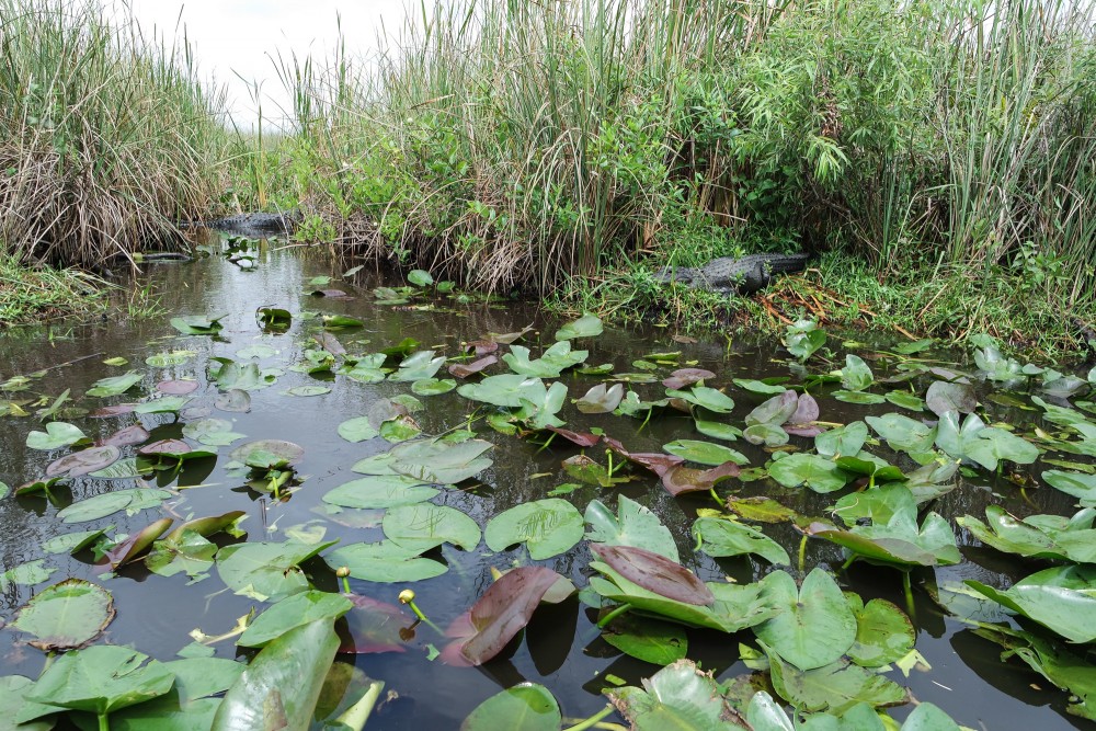 20150430113812_1489_NX3000_20150430113812