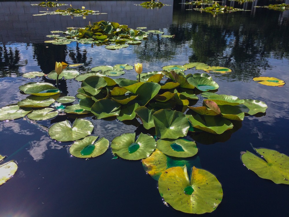 20150501101137_0307_iPhone_marco_20150501101137