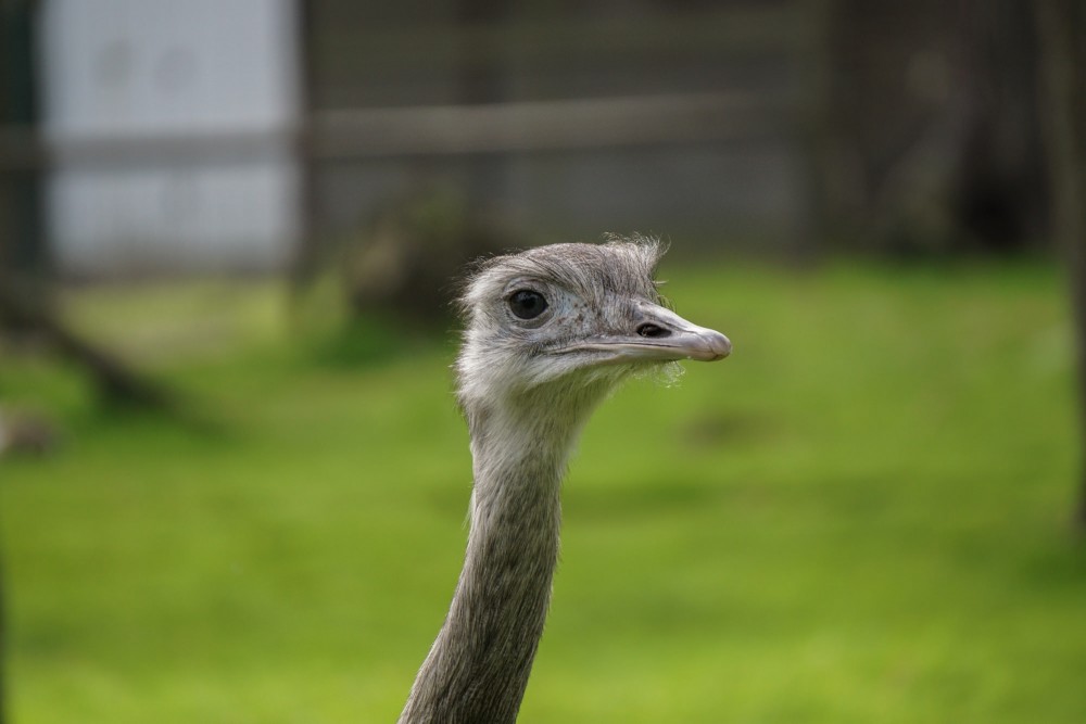 DSC01897_20151003125510