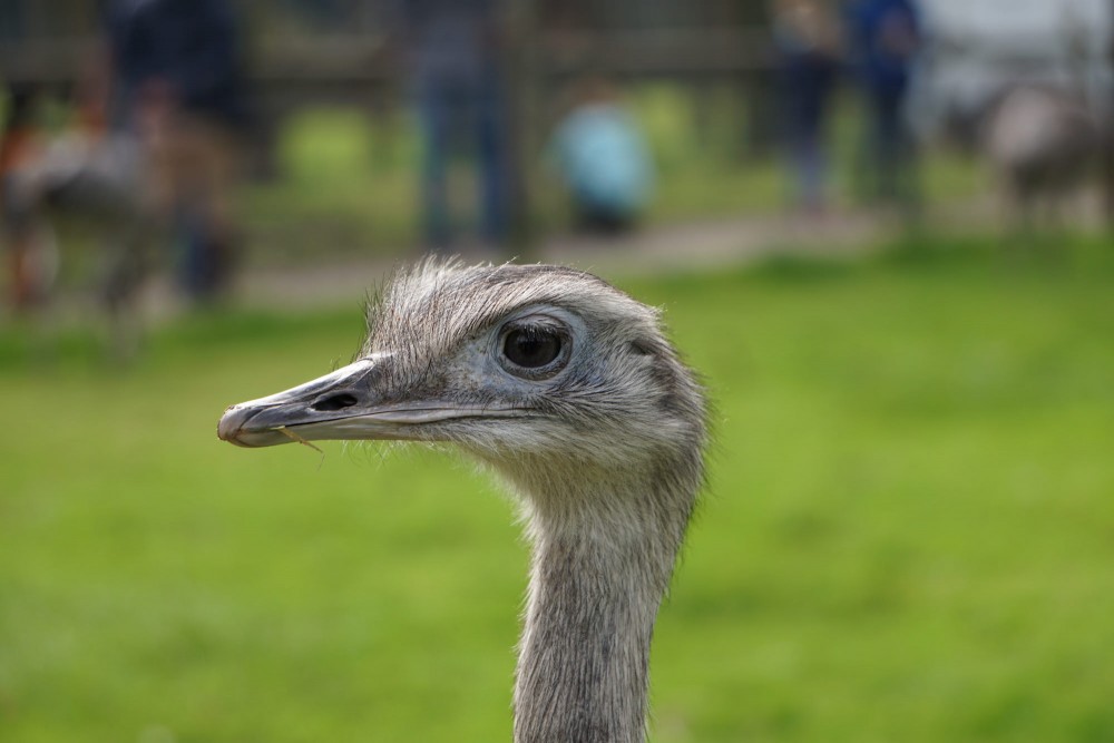 DSC01925_20151003125724