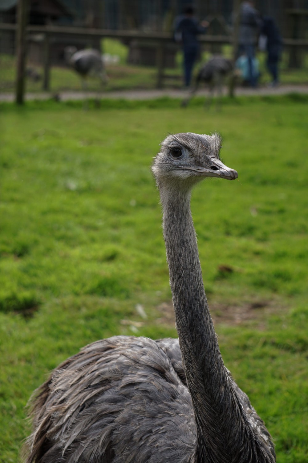 DSC01940_20151003125741