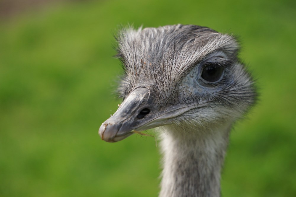 DSC01957_20151003125816