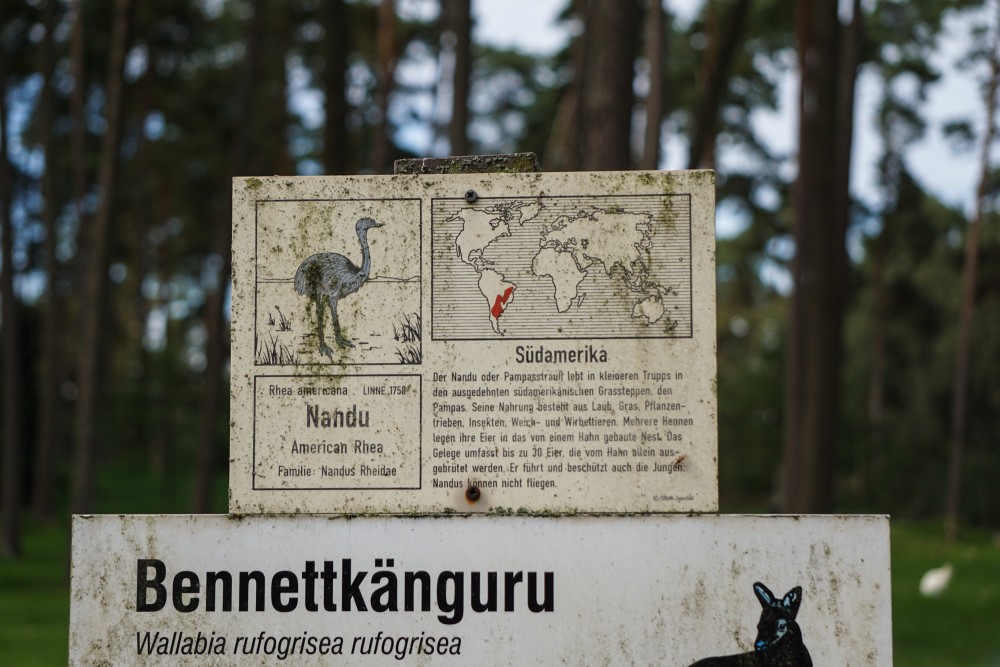 DSC01969_20151003125931