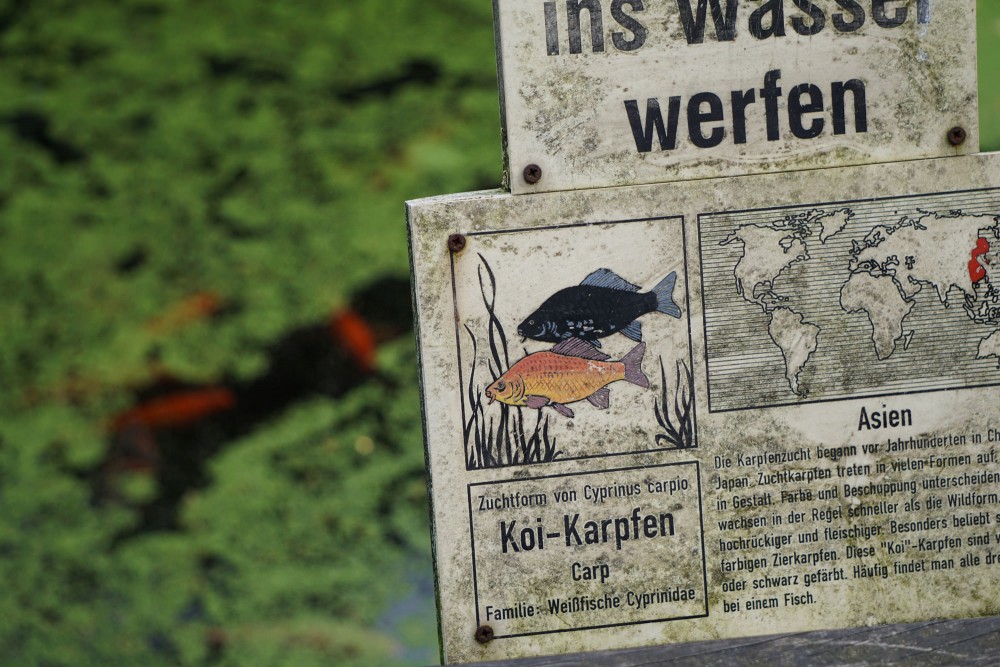 DSC01993_20151003130428