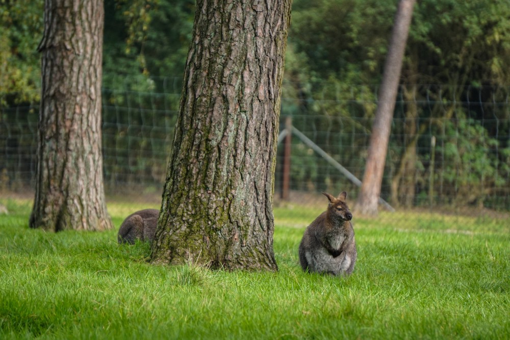 DSC01995_20151003130510