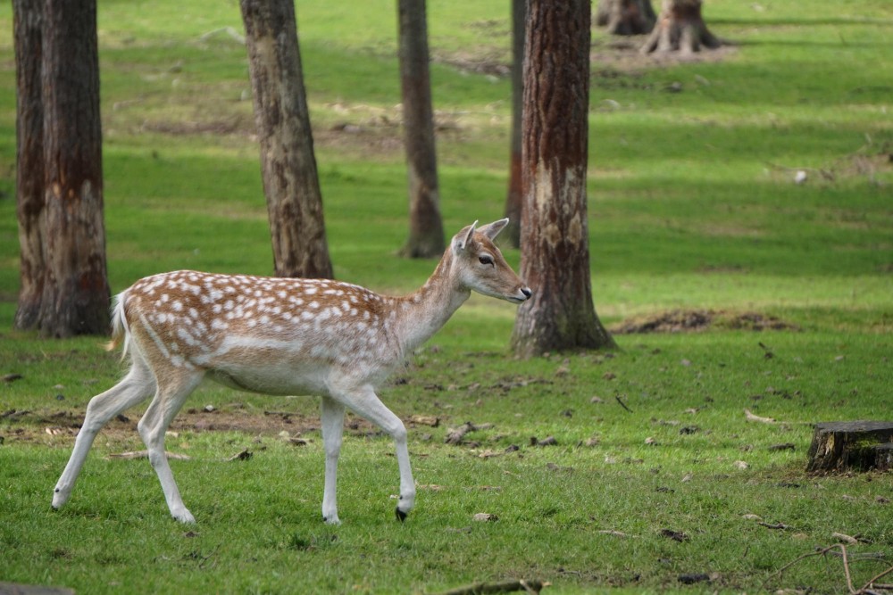 DSC01999_20151003130814