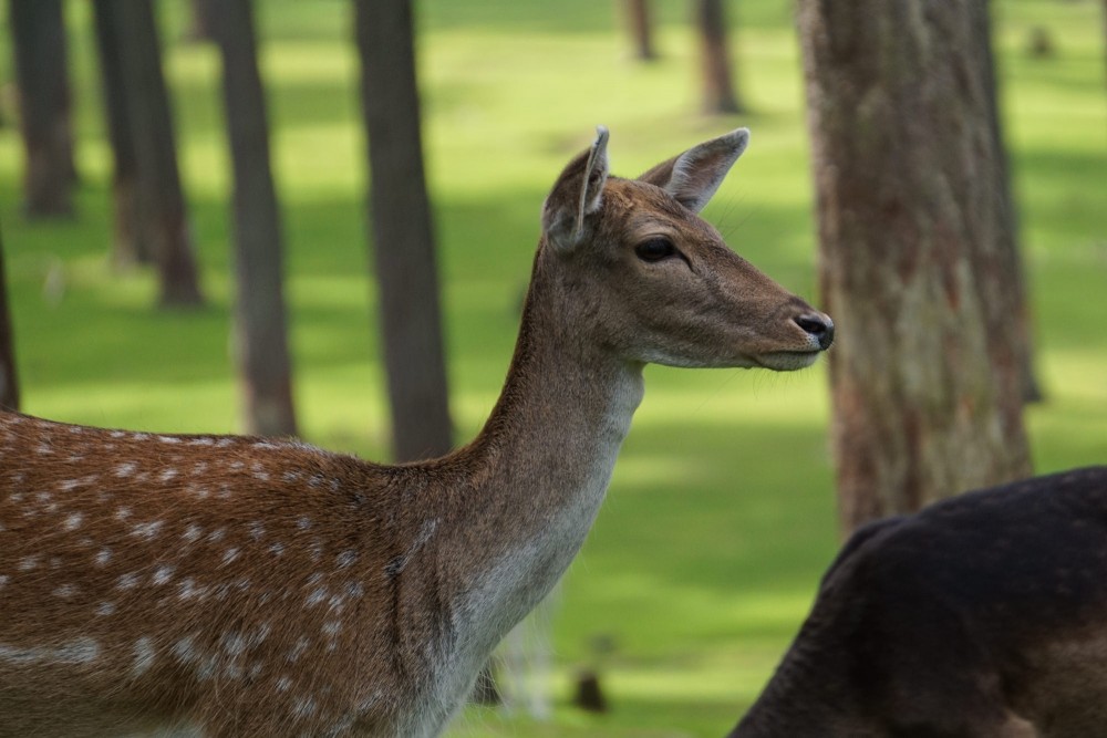 DSC02005_20151003130849