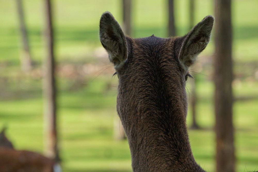 DSC02015_20151003131022