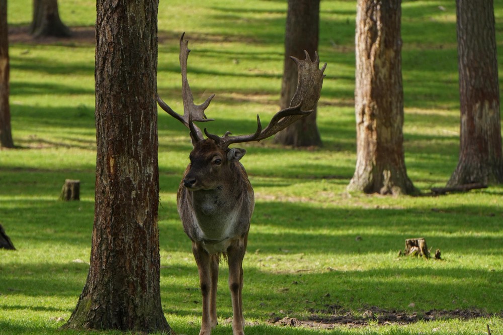 DSC02045_20151003131245