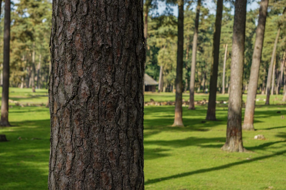 DSC02070_20151003132031