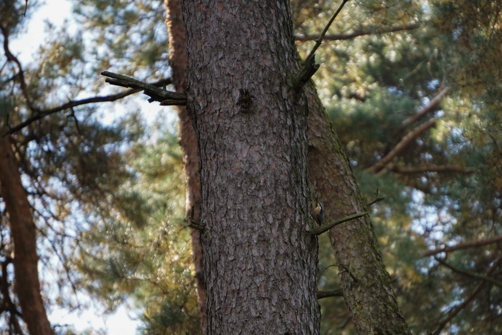 DSC02077_20151003132636