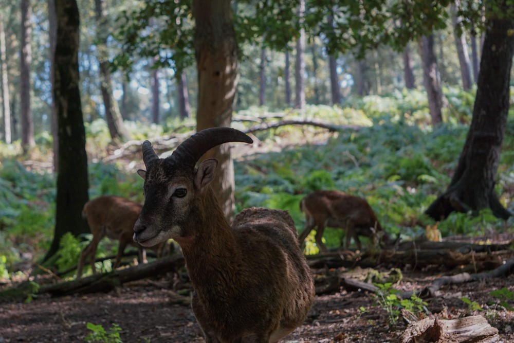 DSC02098_20151003134047