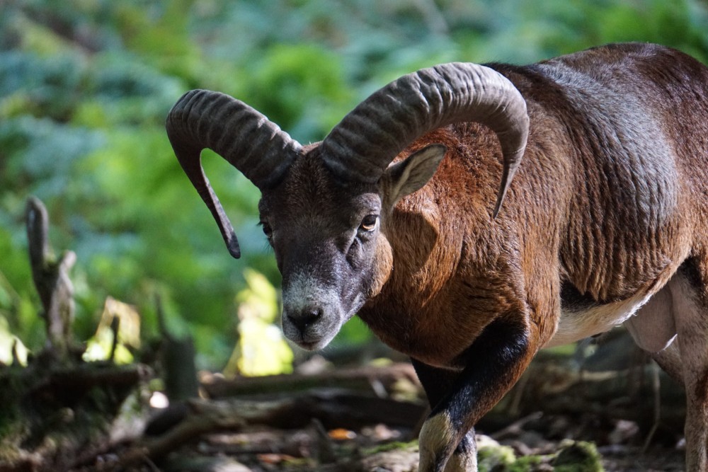 DSC02106_20151003134132