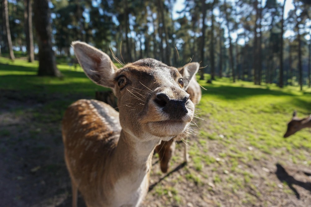 DSC02139_20151003135956