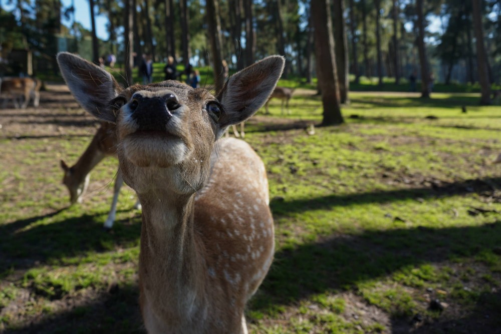 DSC02174_20151003140314