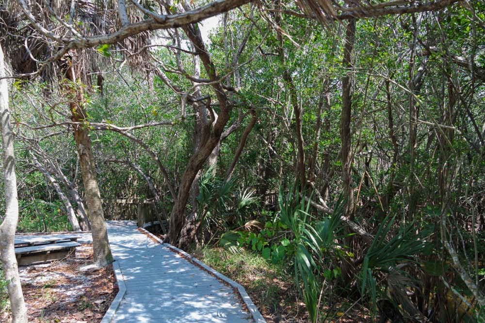 20150426113155_0954_NX3000