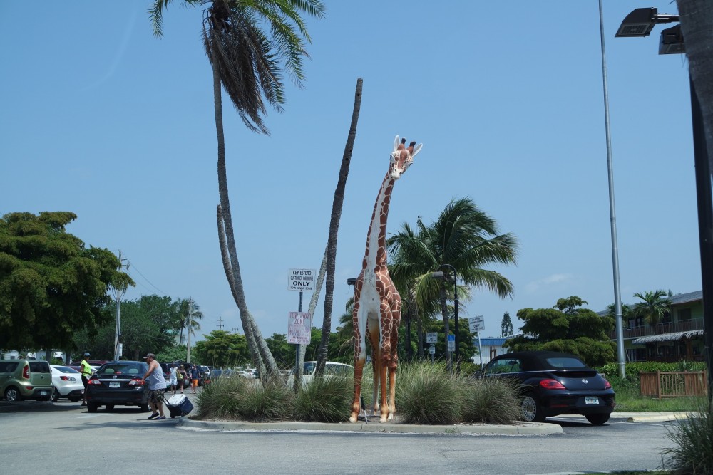 20150426122727_0994_NX3000